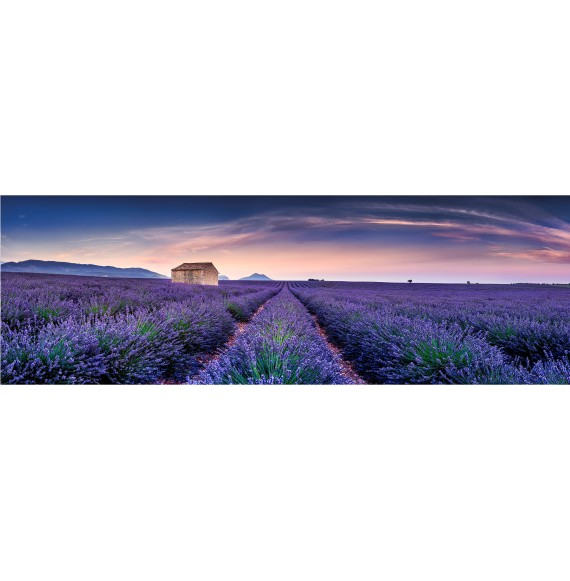 Lavendelfeld in der Provence in Süd-Frankreich. Fine Art Panorama Wandbild  Leinwand. - Provence