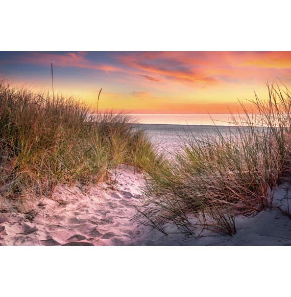 Strand an der Ostsee im warmen Sonnenaufgang. Fine Art Wandbild Leinwand. -  Darß